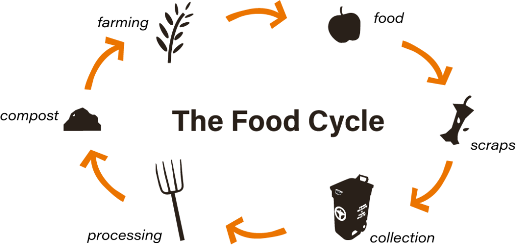 Exploring the Journey from Farm to Table: Understanding the Organic Food Supply Chain